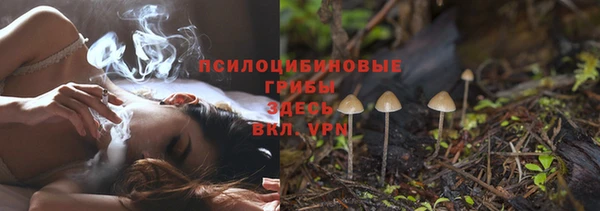 PSILOCYBIN Алзамай